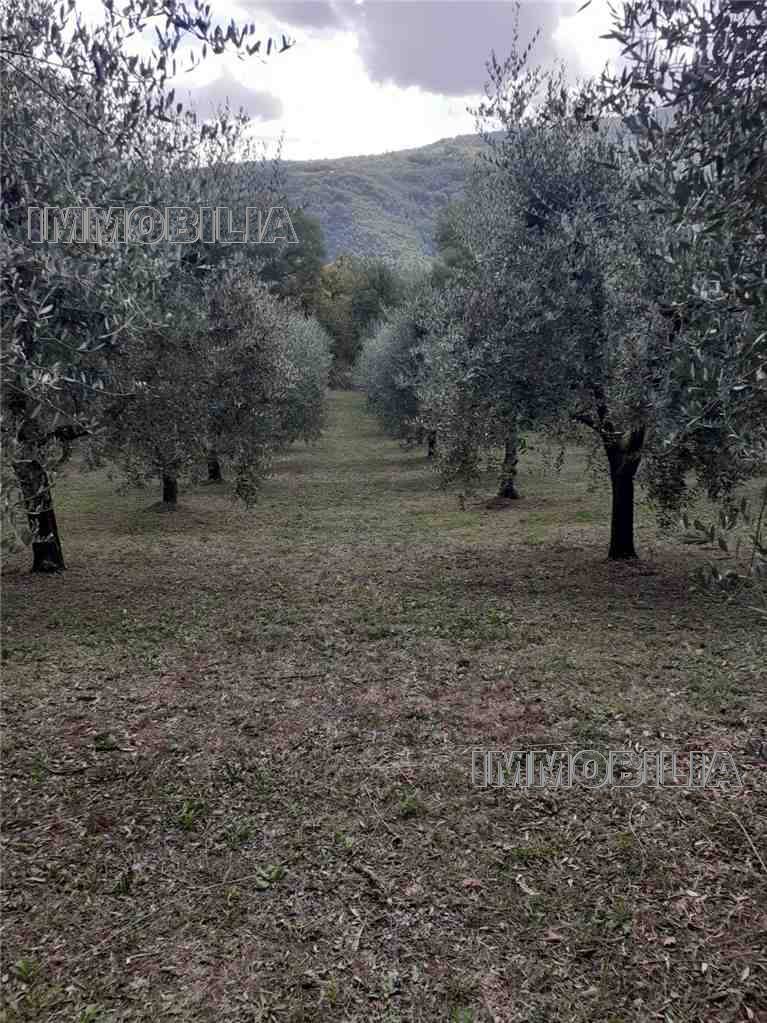 immagine annuncio 2 di 6