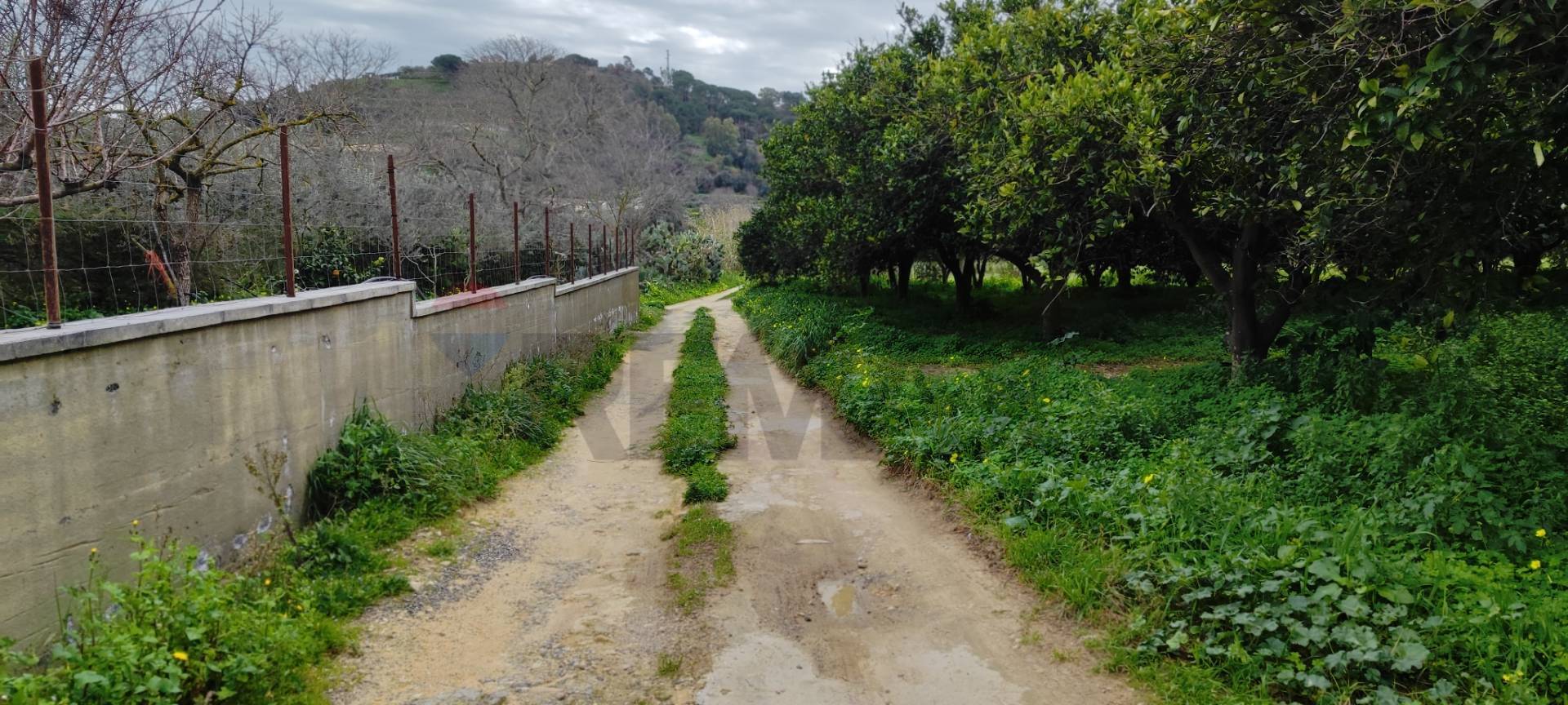 casa indipendente in vendita a Grammichele