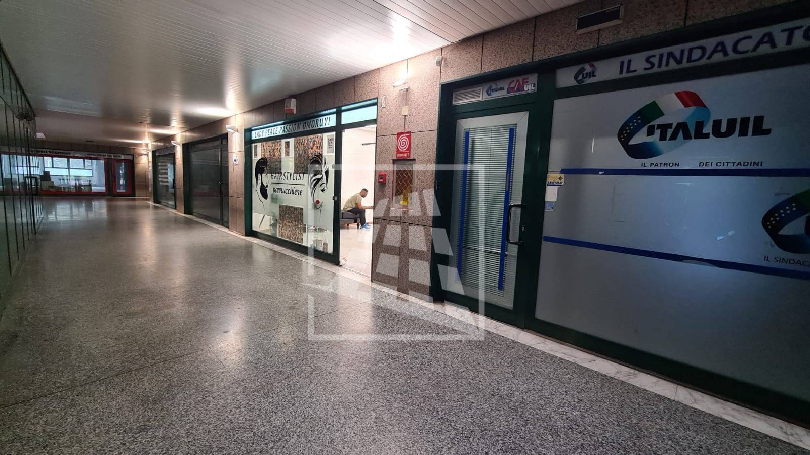 immagine annuncio 12 di 14