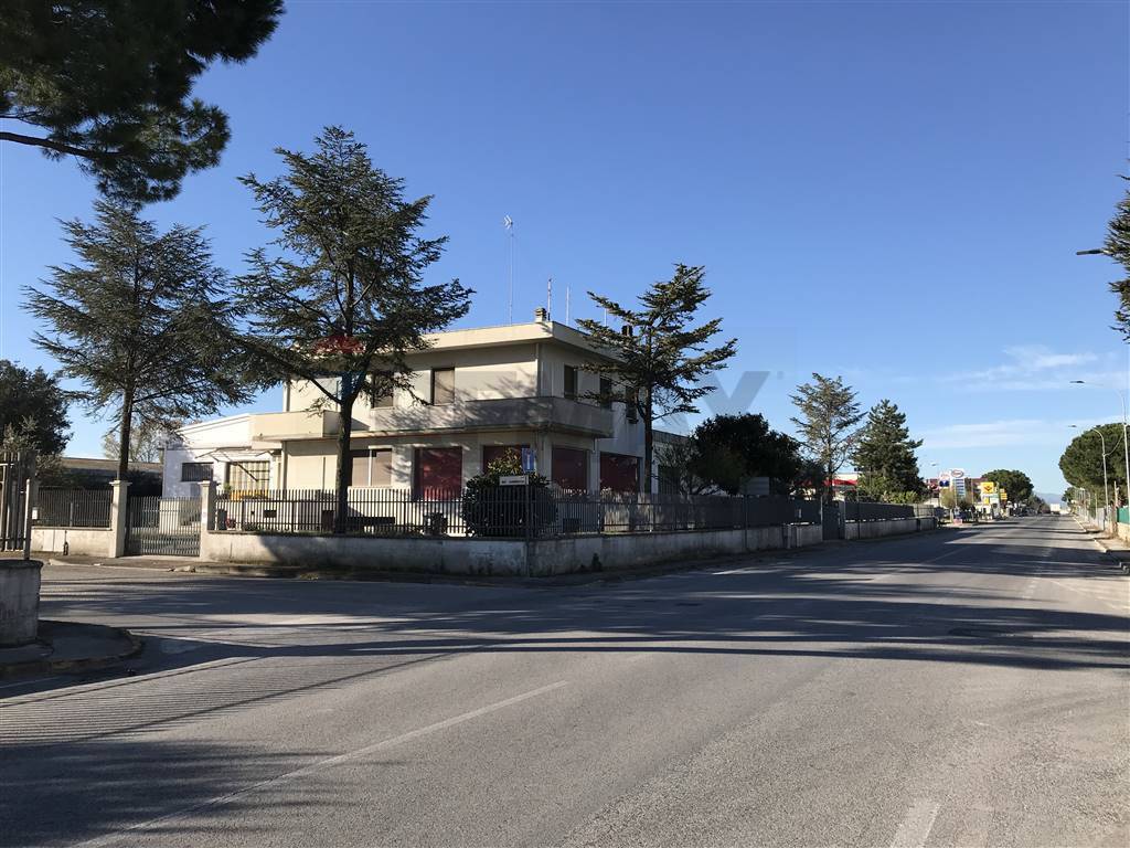 immagine annuncio 6 di 7