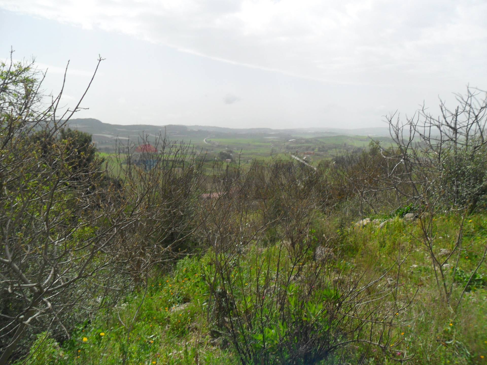 immagine annuncio 5 di 8