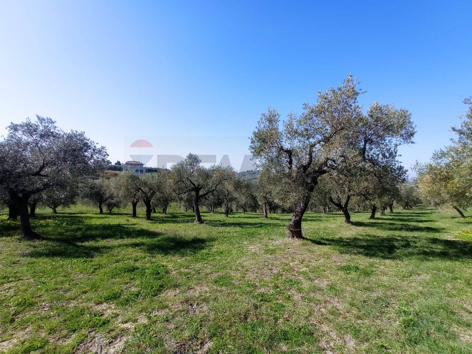 immagine annuncio 7 di 11