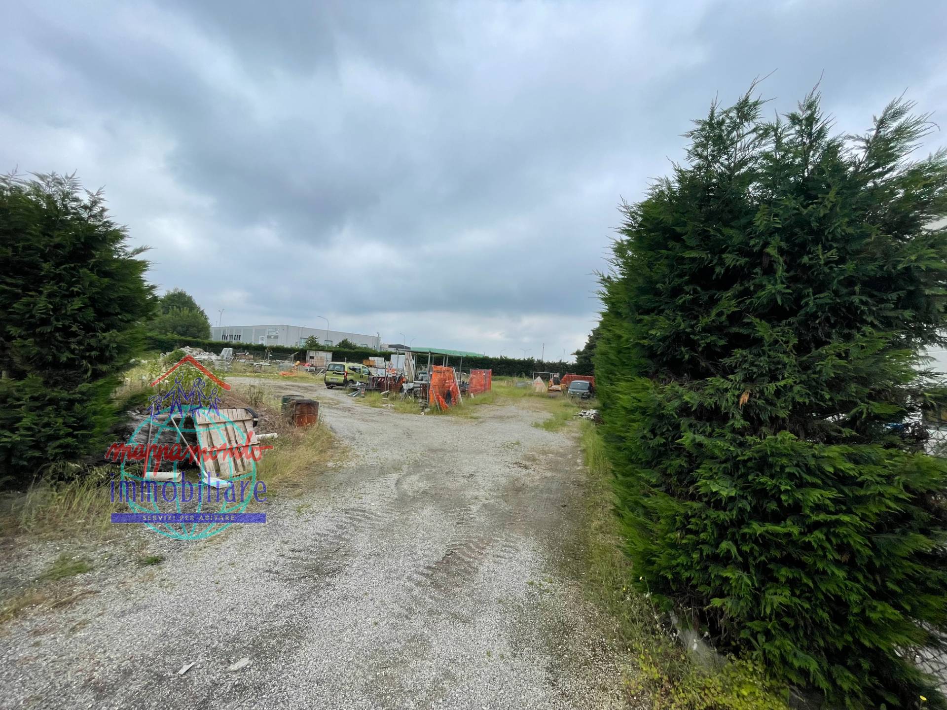 immagine annuncio 3 di 7