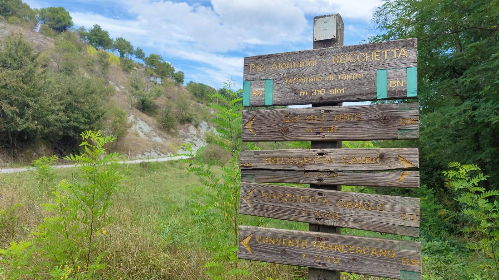 immagine annuncio 12 di 14