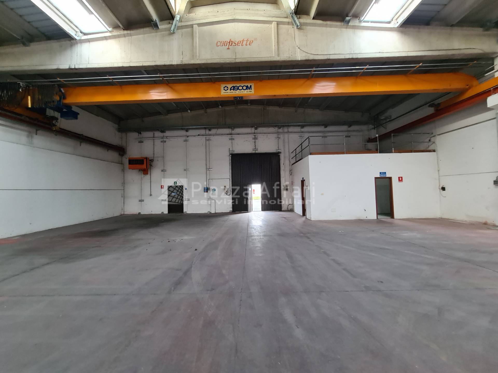 immagine annuncio 5 di 9