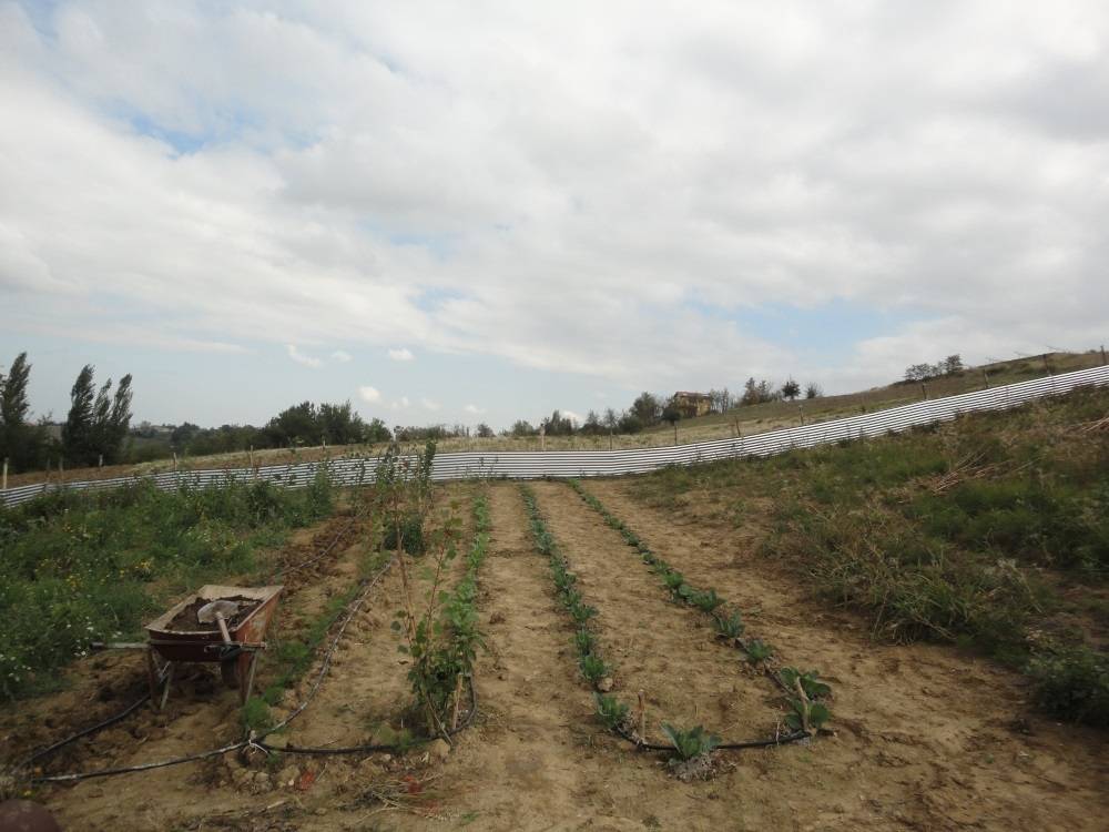 immagine annuncio 4 di 7