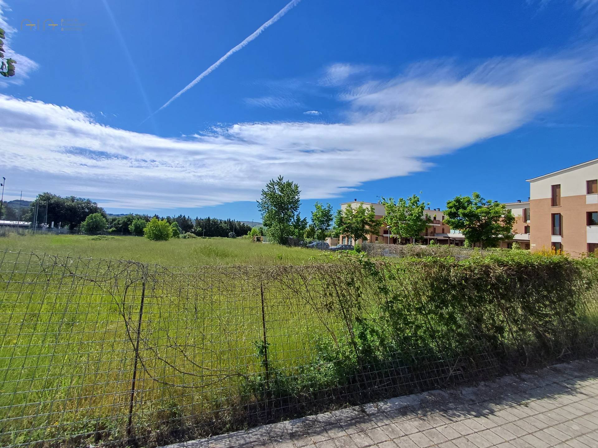 immagine annuncio 1 di 7
