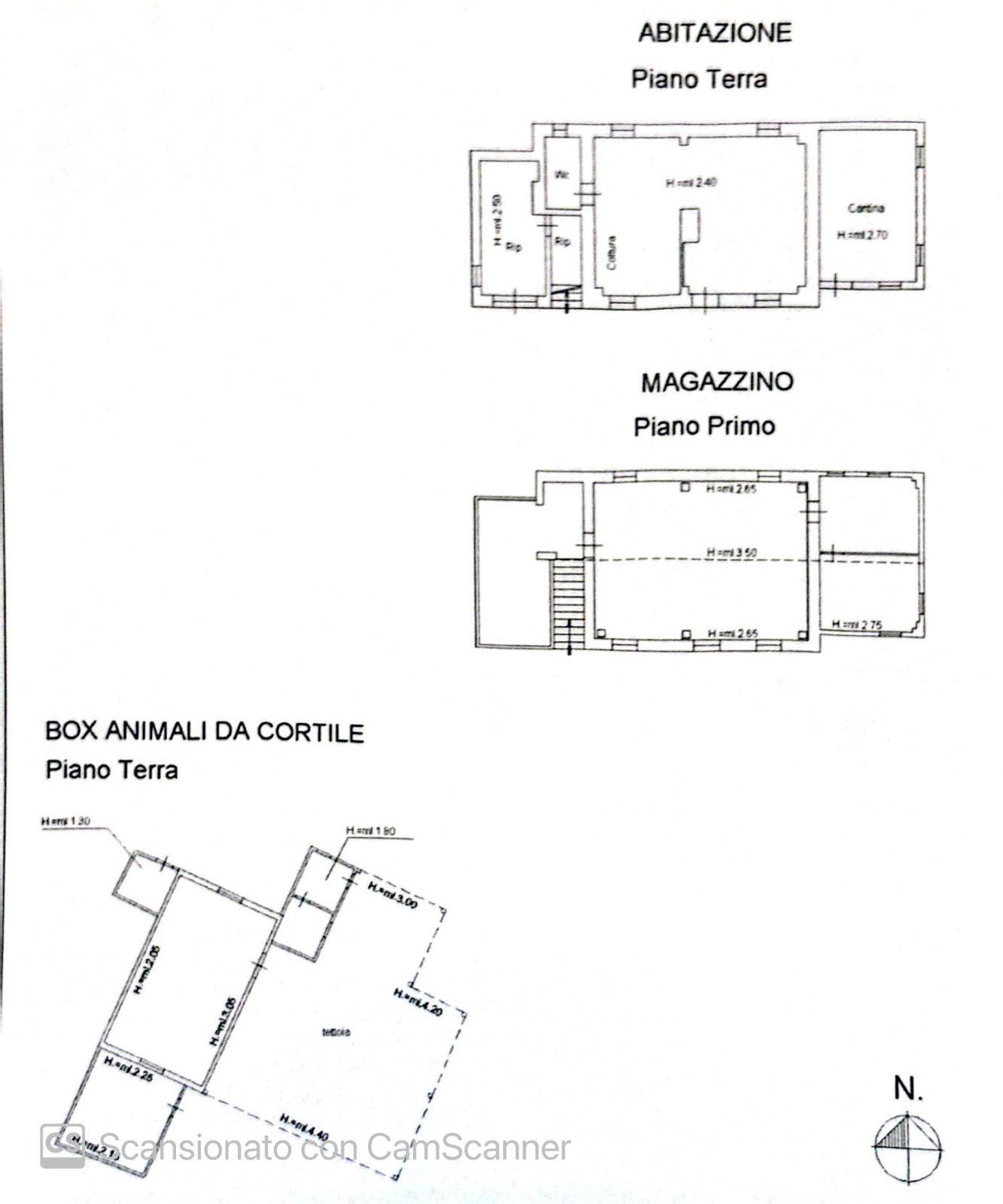 immagine annuncio 4 di 11