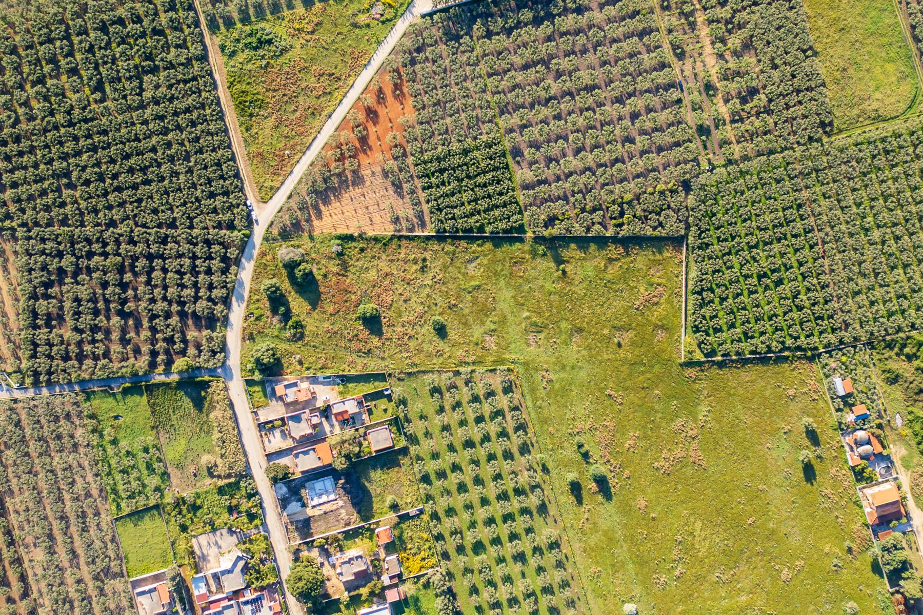 terreno edificabile in vendita a Castelvetrano in zona Marinella di Selinunte