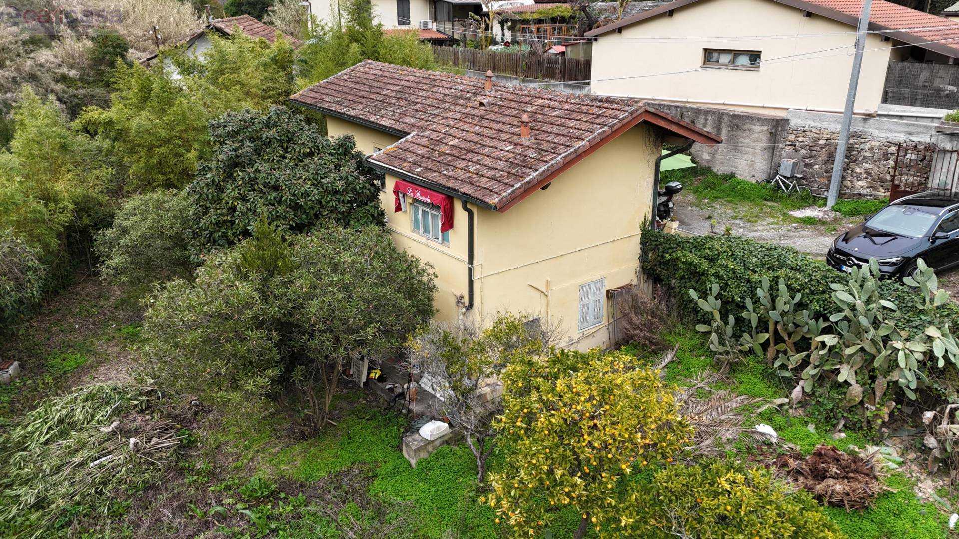 immagine annuncio 7 di 13