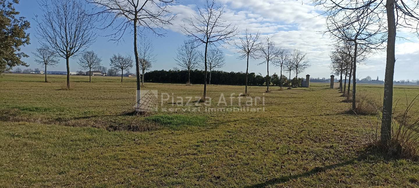 immagine annuncio 8 di 12