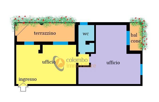 immagine annuncio 1 di 15