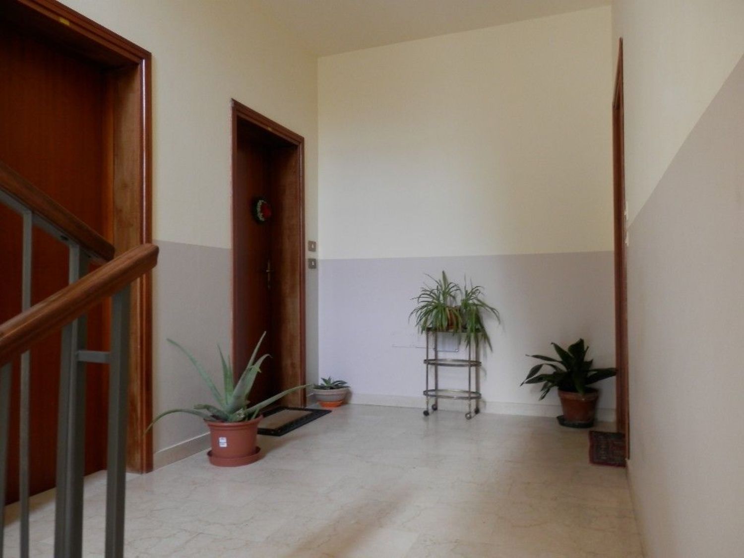 immagine annuncio 9 di 12