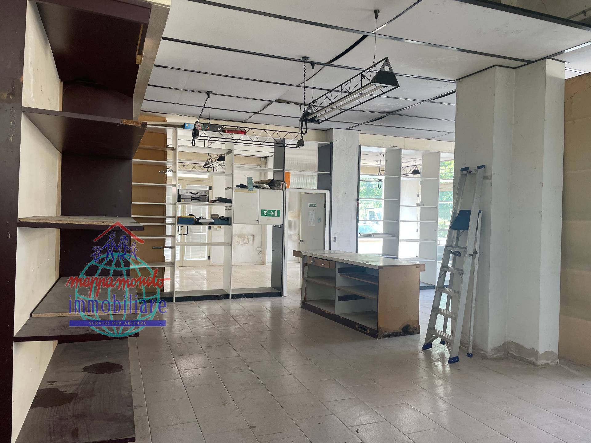 immagine annuncio 4 di 14