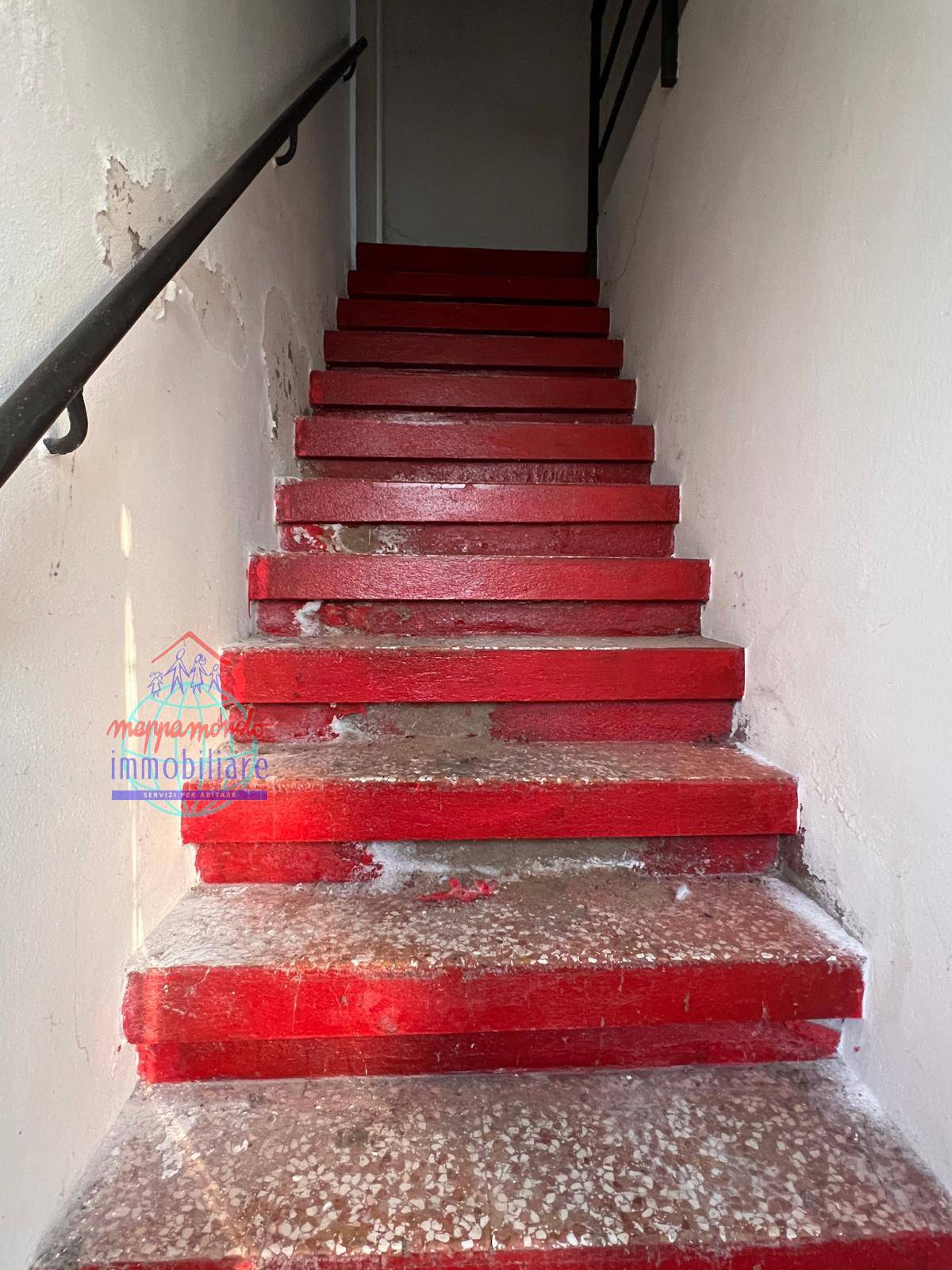 immagine annuncio 10 di 14