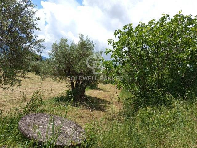 casa indipendente in vendita a Citerna