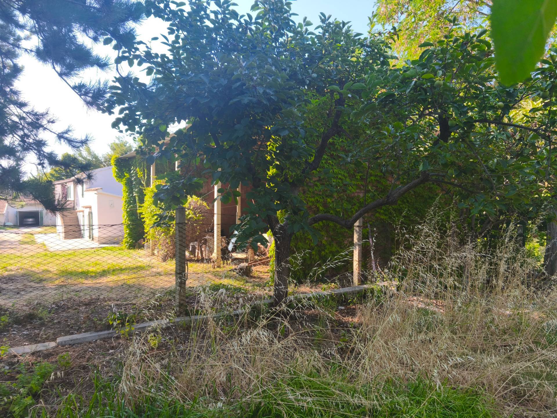 immagine annuncio 10 di 13