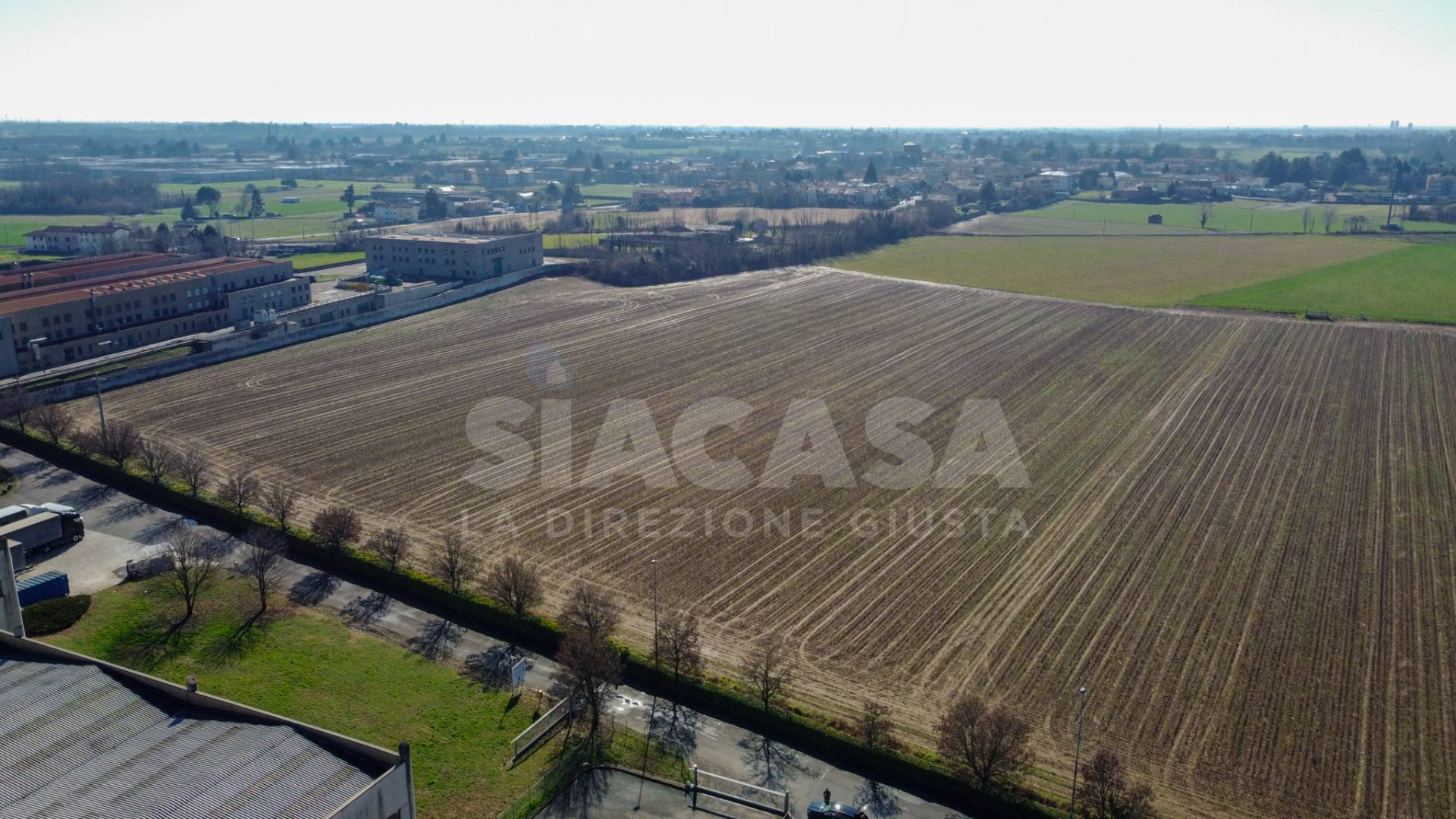 immagine annuncio 2 di 7