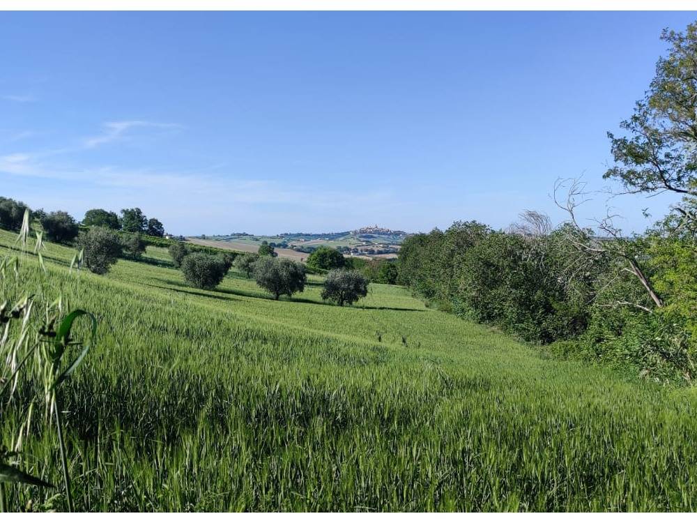 immagine annuncio 4 di 6