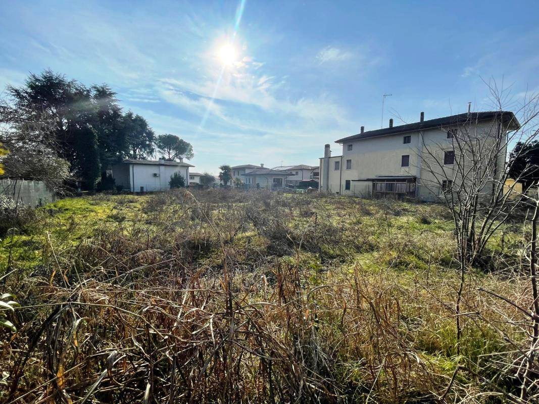 immagine annuncio 2 di 6