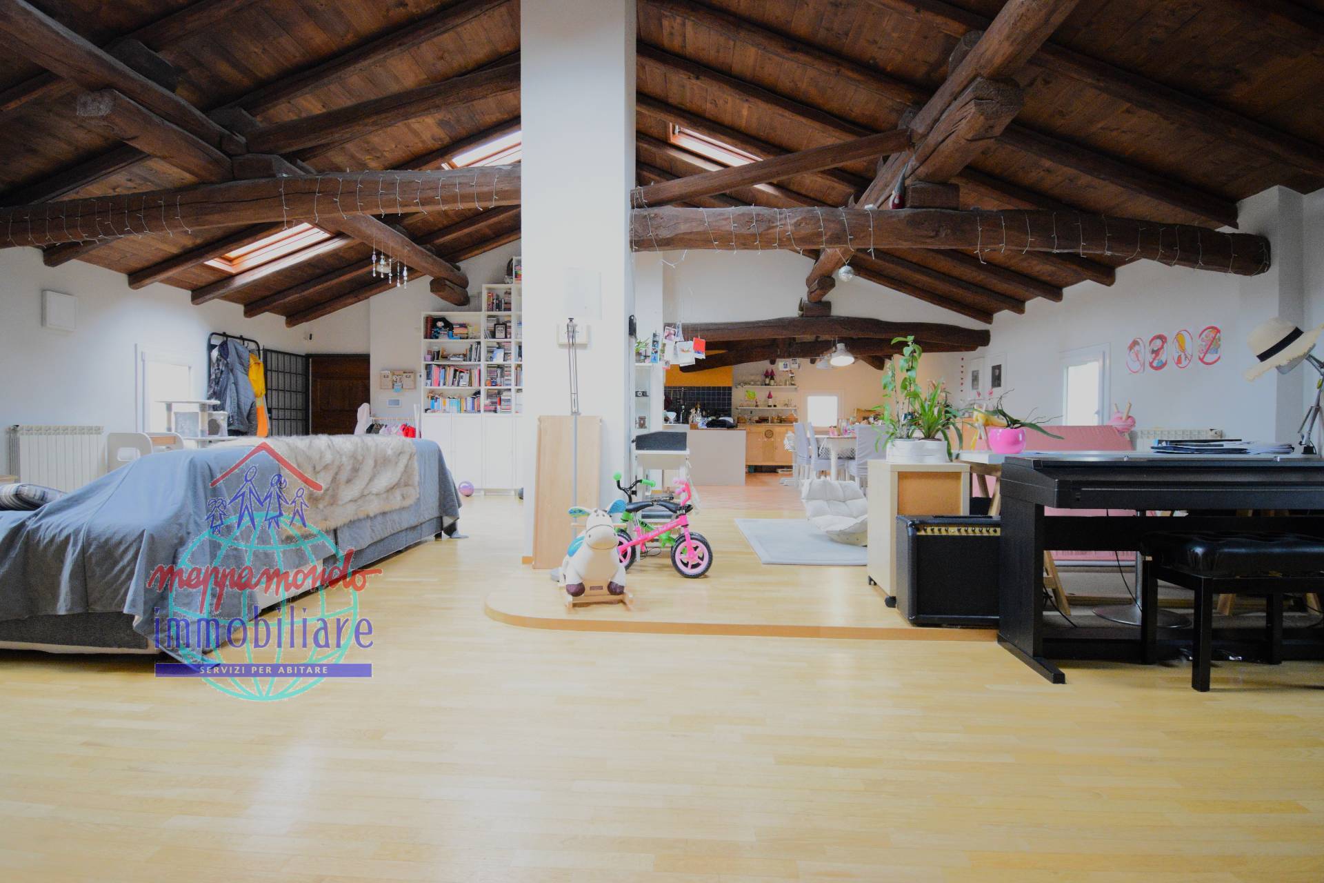 immagine annuncio 1 di 15