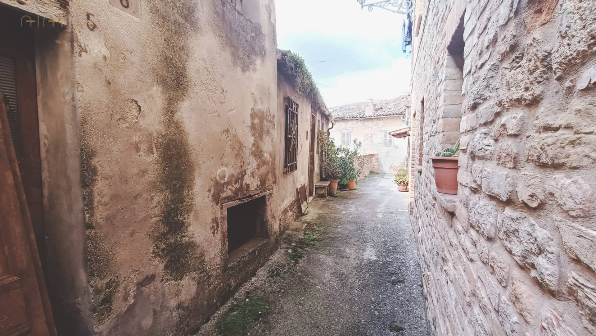 immagine annuncio 6 di 8