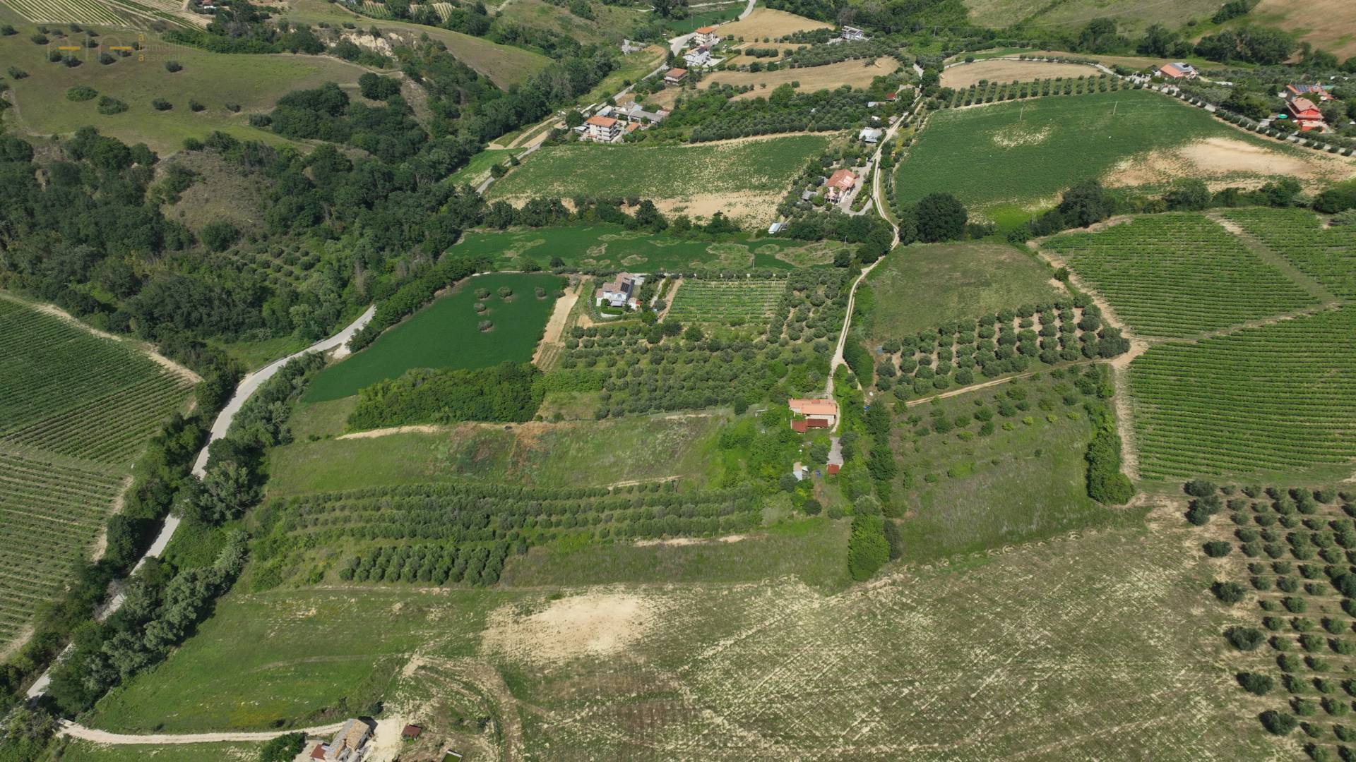 immagine annuncio 11 di 14