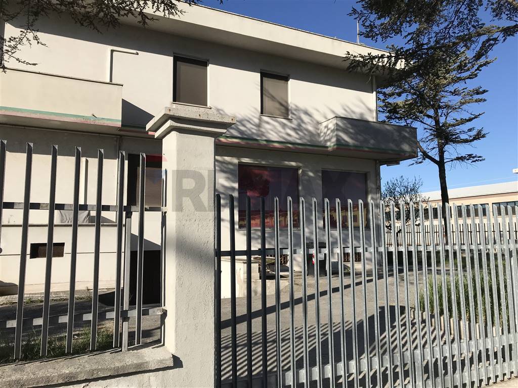 immagine annuncio 5 di 7