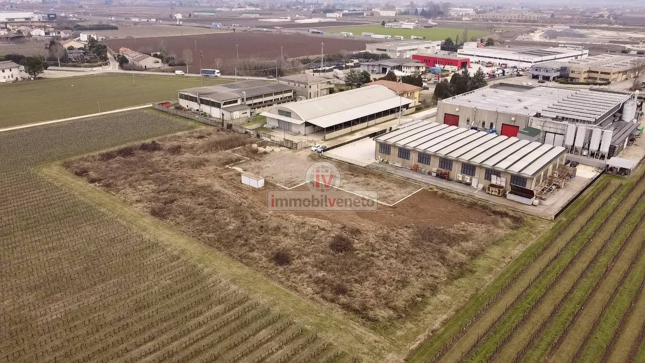 immagine annuncio 3 di 8