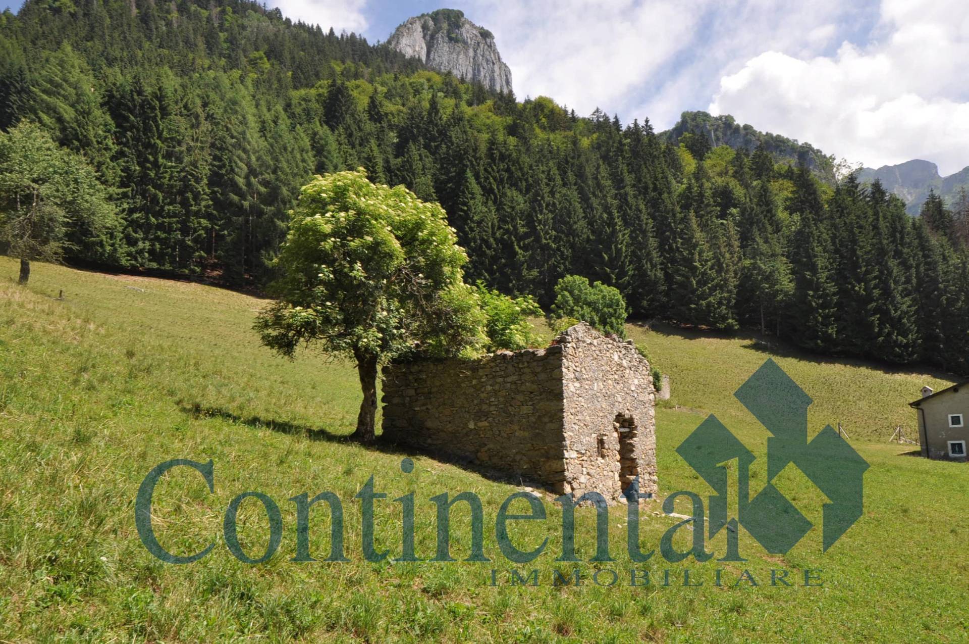 casa indipendente in vendita a Mezzoldo