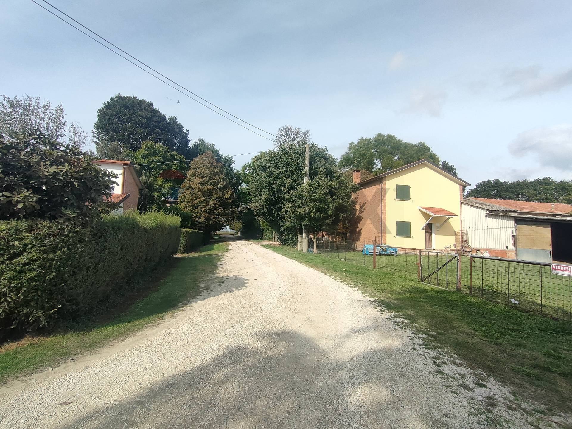 immagine annuncio 11 di 12