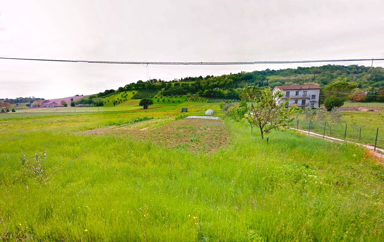 immagine annuncio 6 di 7