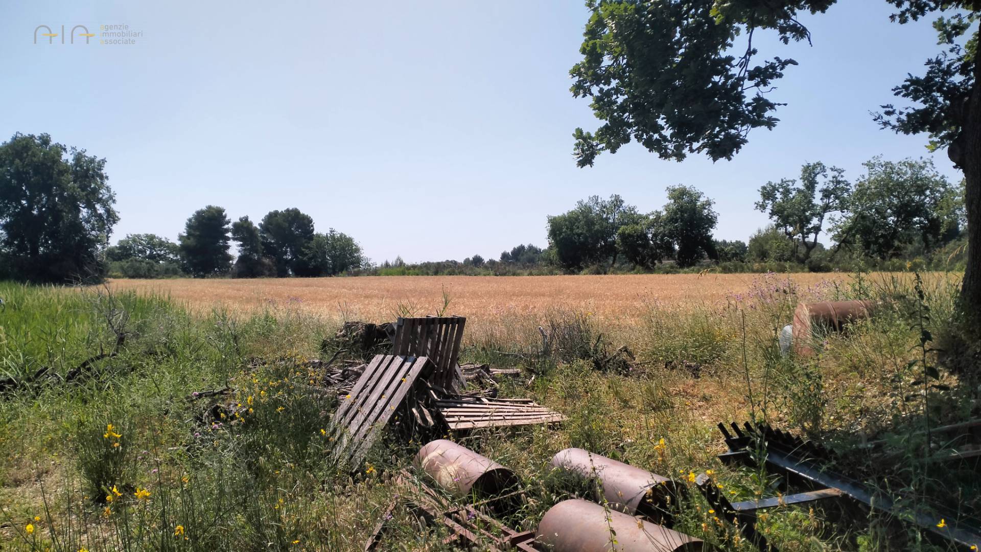 immagine annuncio 9 di 10