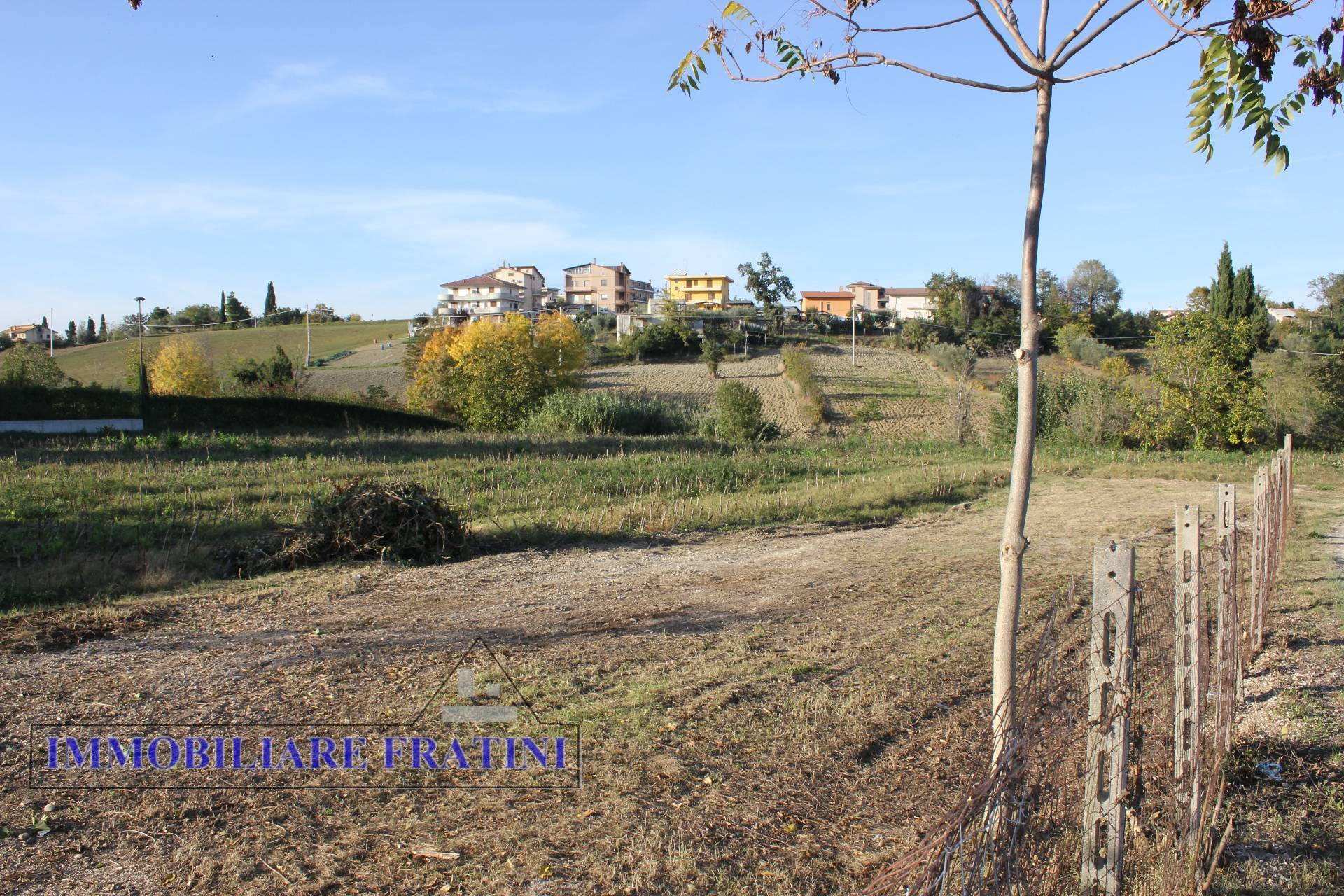 immagine annuncio 10 di 11