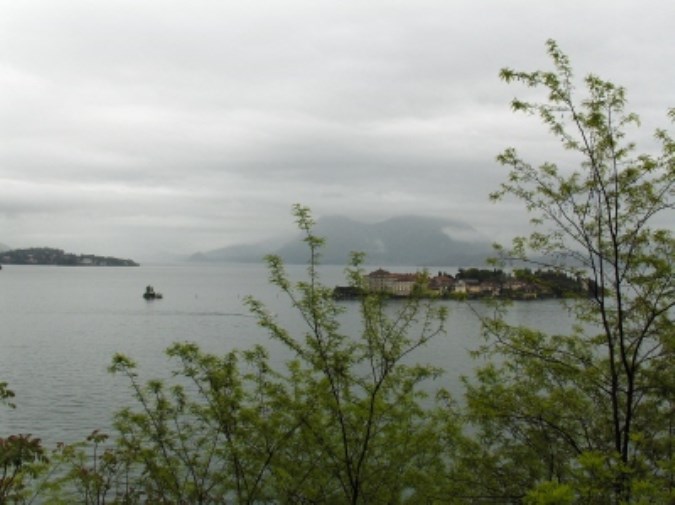 immagine annuncio 2 di 4