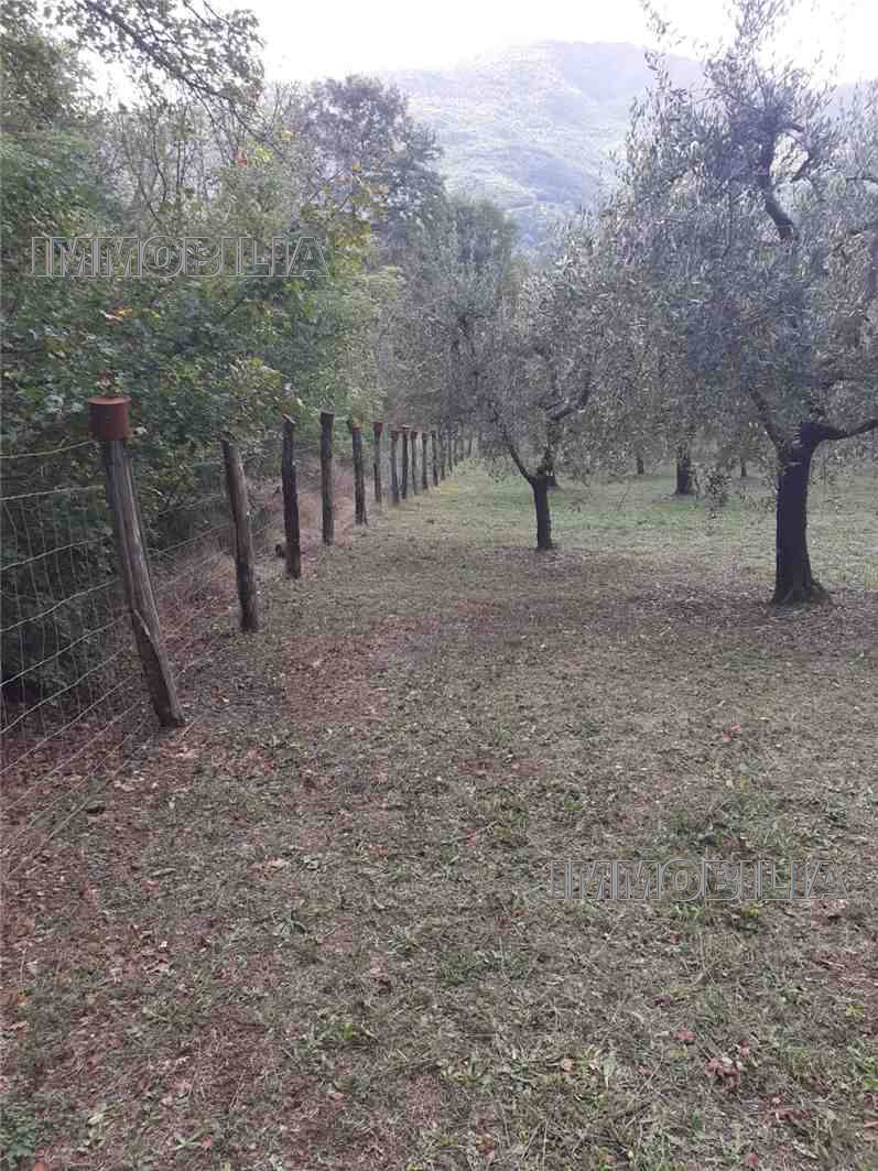 immagine annuncio 5 di 6