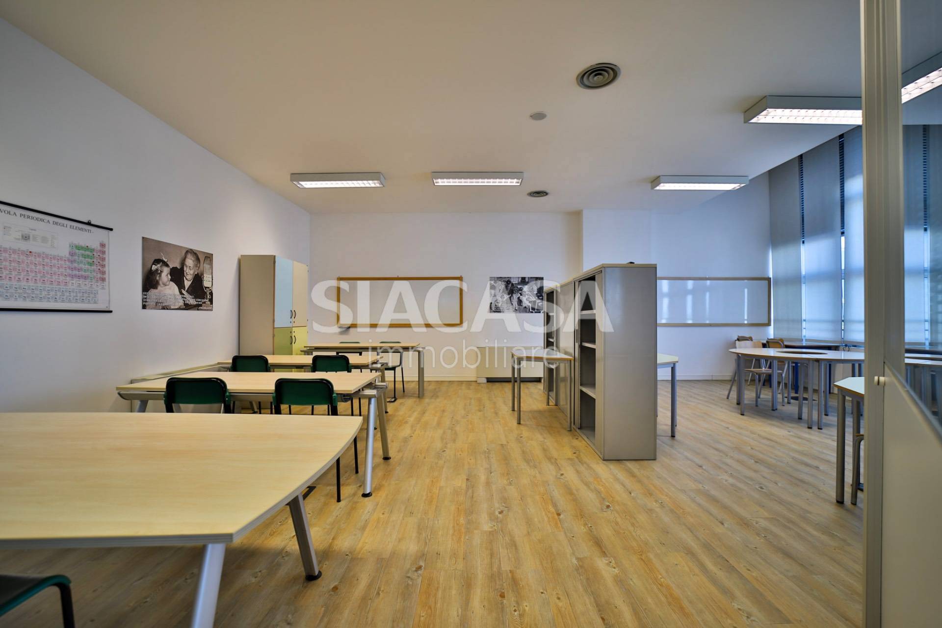 immagine annuncio 9 di 14