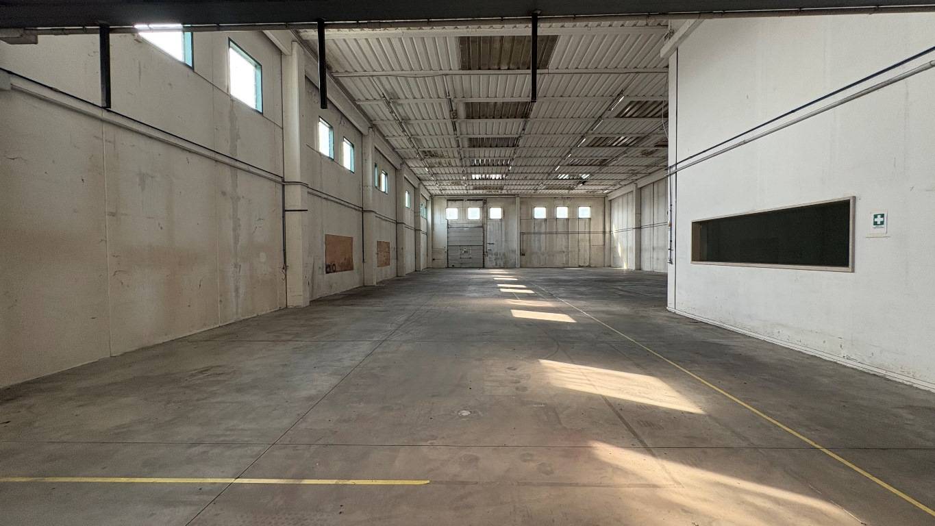 immagine annuncio 14 di 15