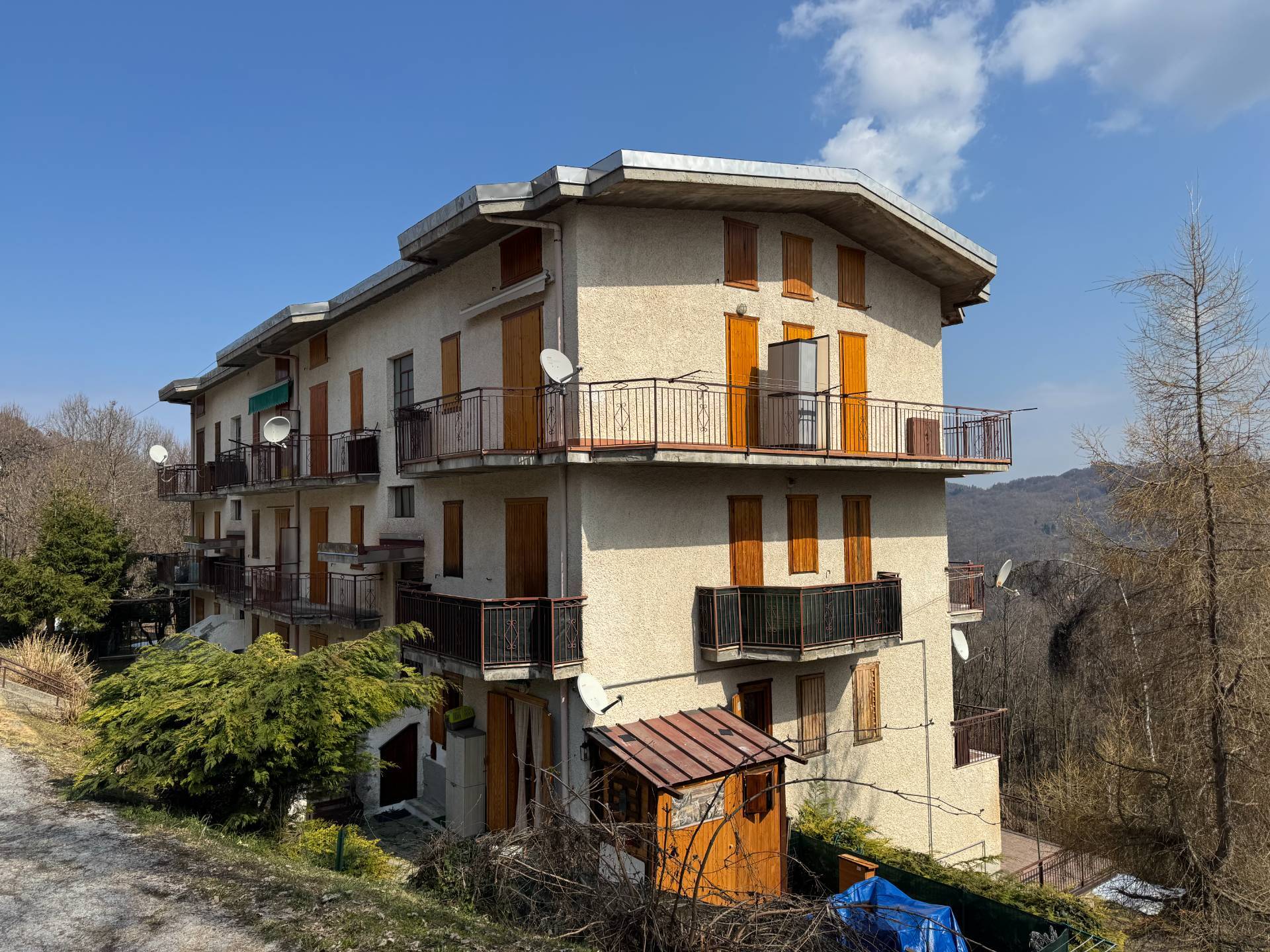 immagine annuncio 14 di 15