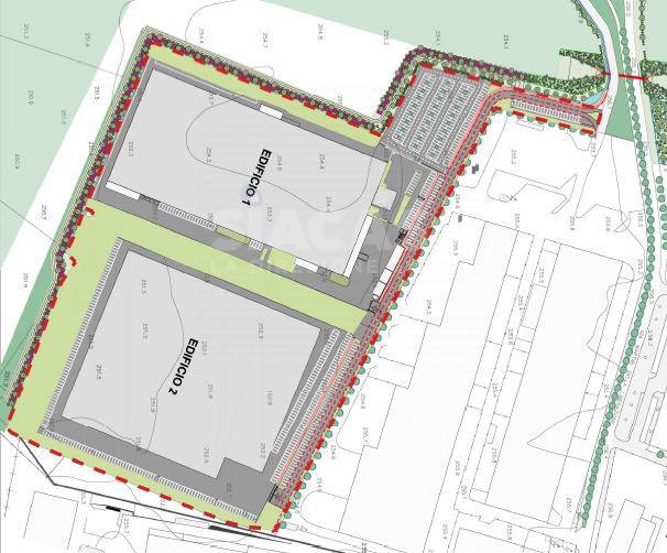 immagine annuncio 5 di 7