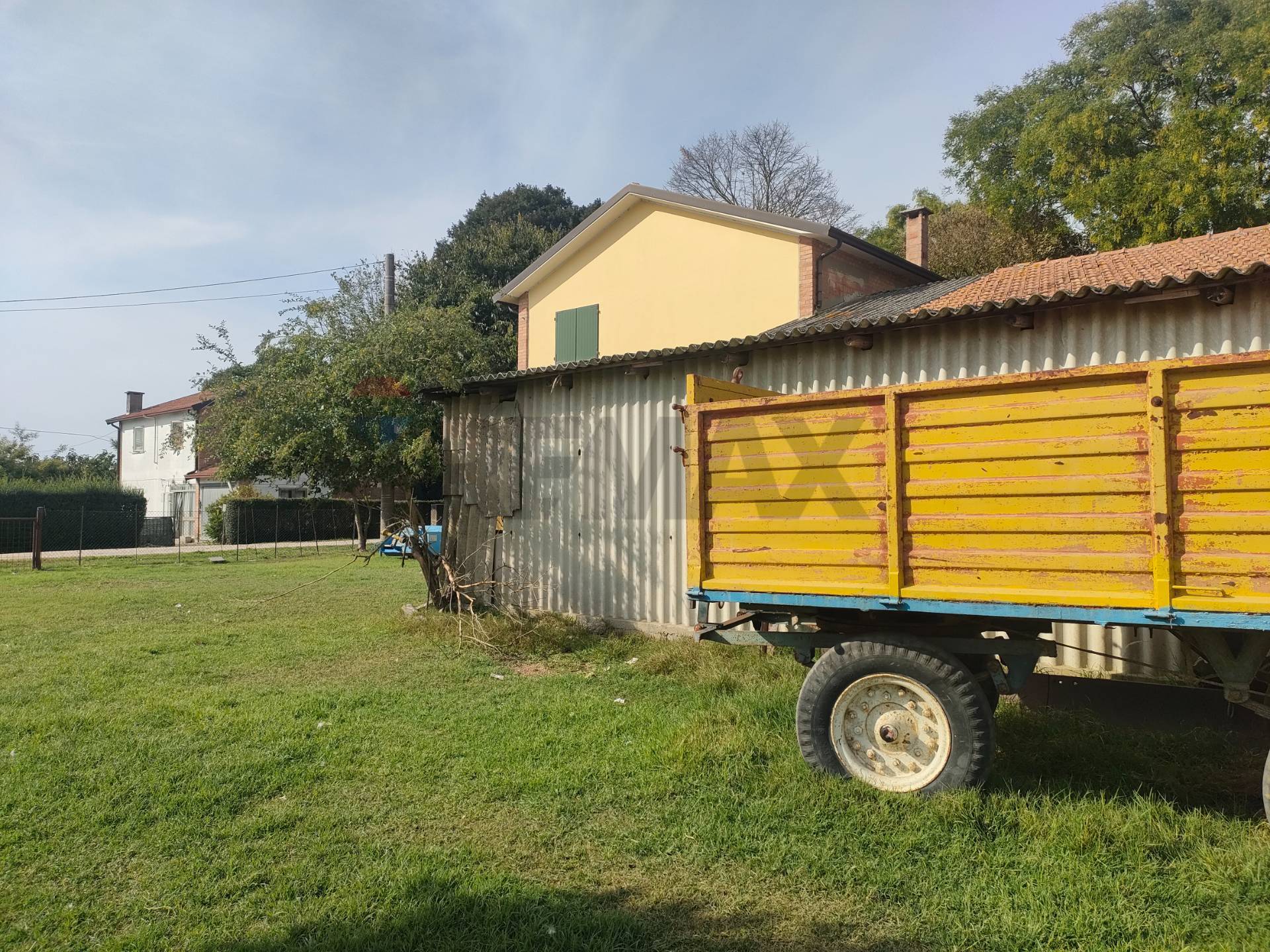 immagine annuncio 7 di 12