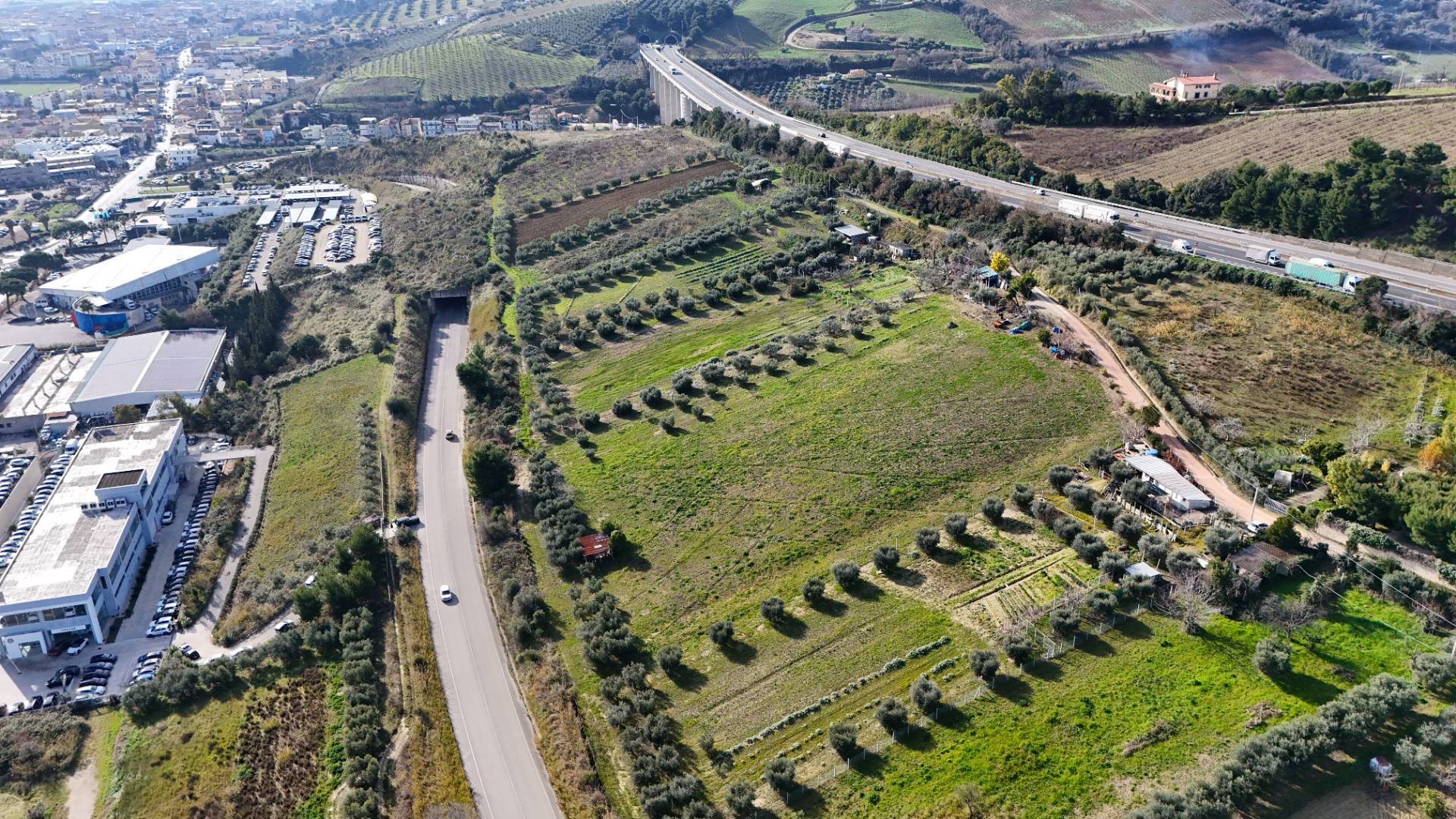 immagine annuncio 6 di 9