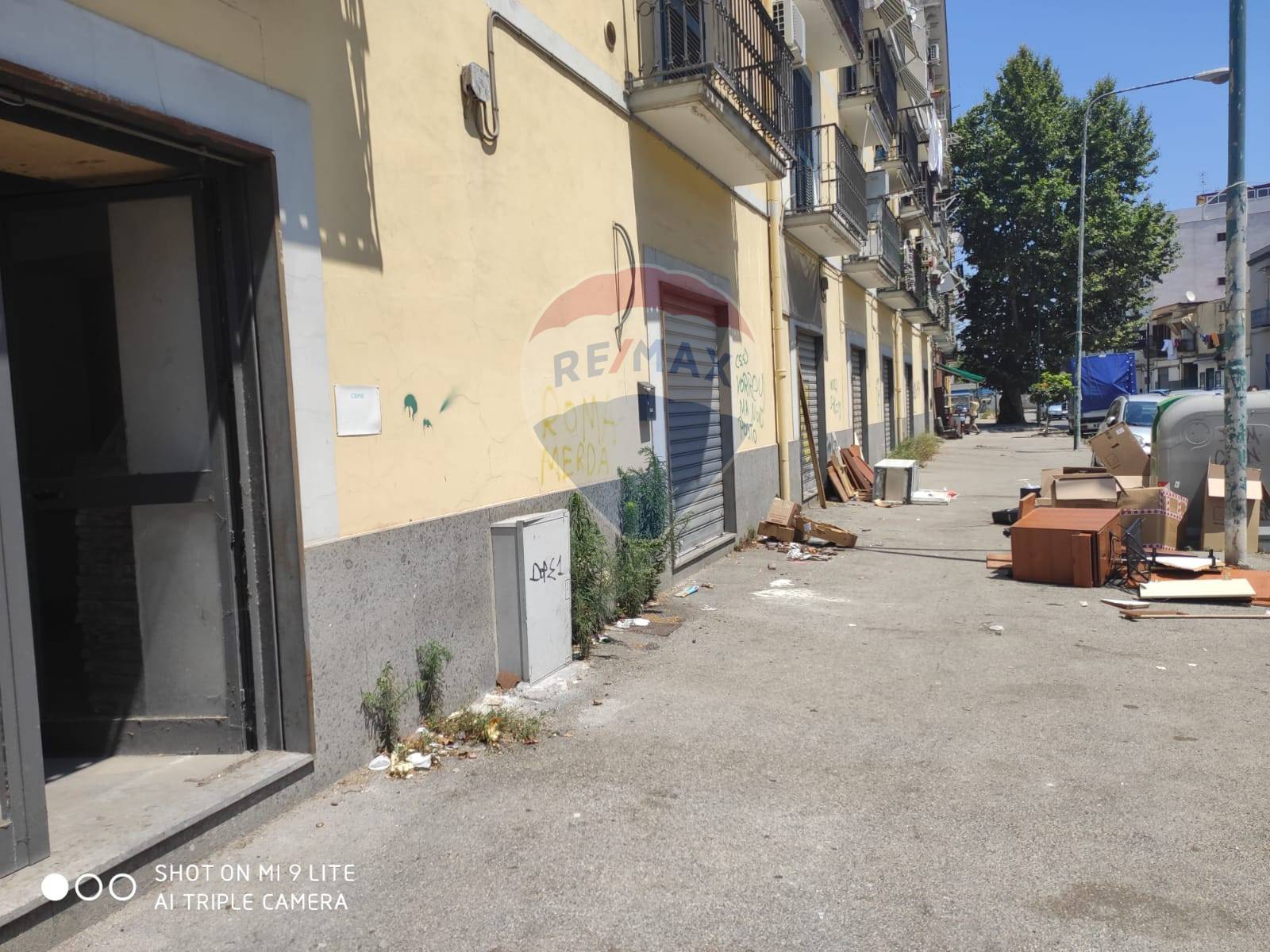 immagine annuncio 3 di 9