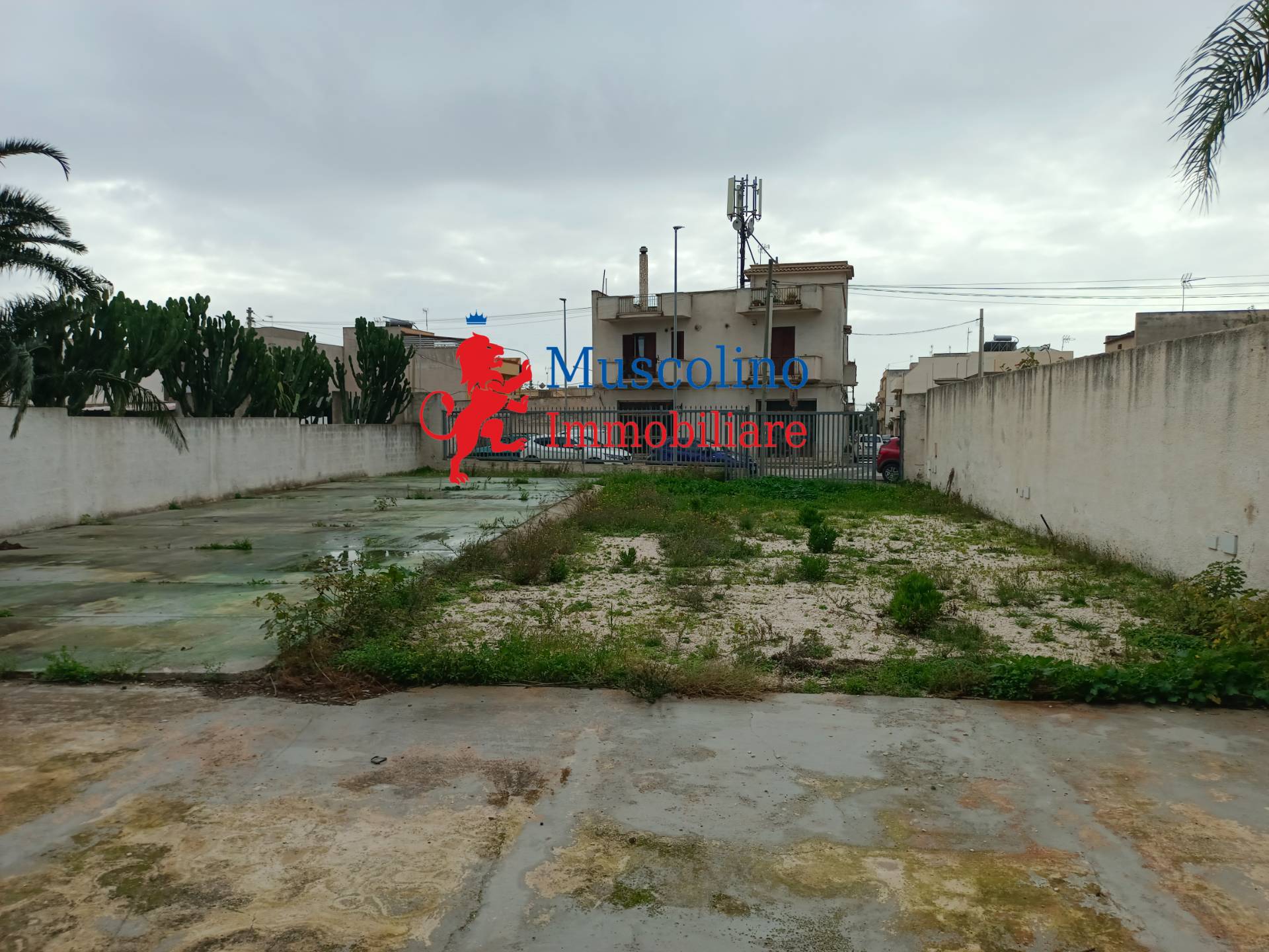 ufficio in affitto a Mazara del Vallo