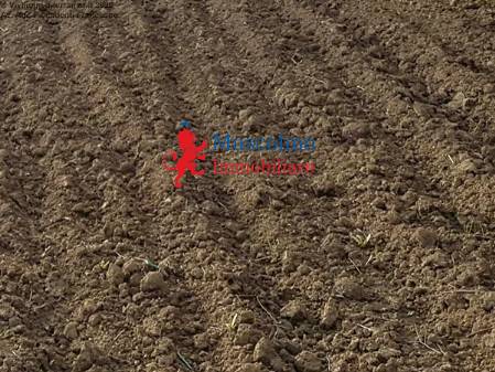 terreno agricolo in vendita a Mazara del Vallo