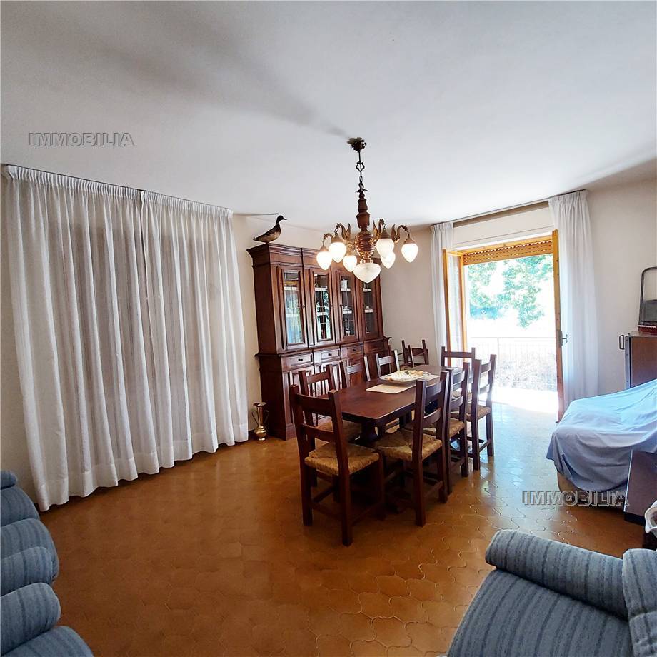 immagine annuncio 0 di 13