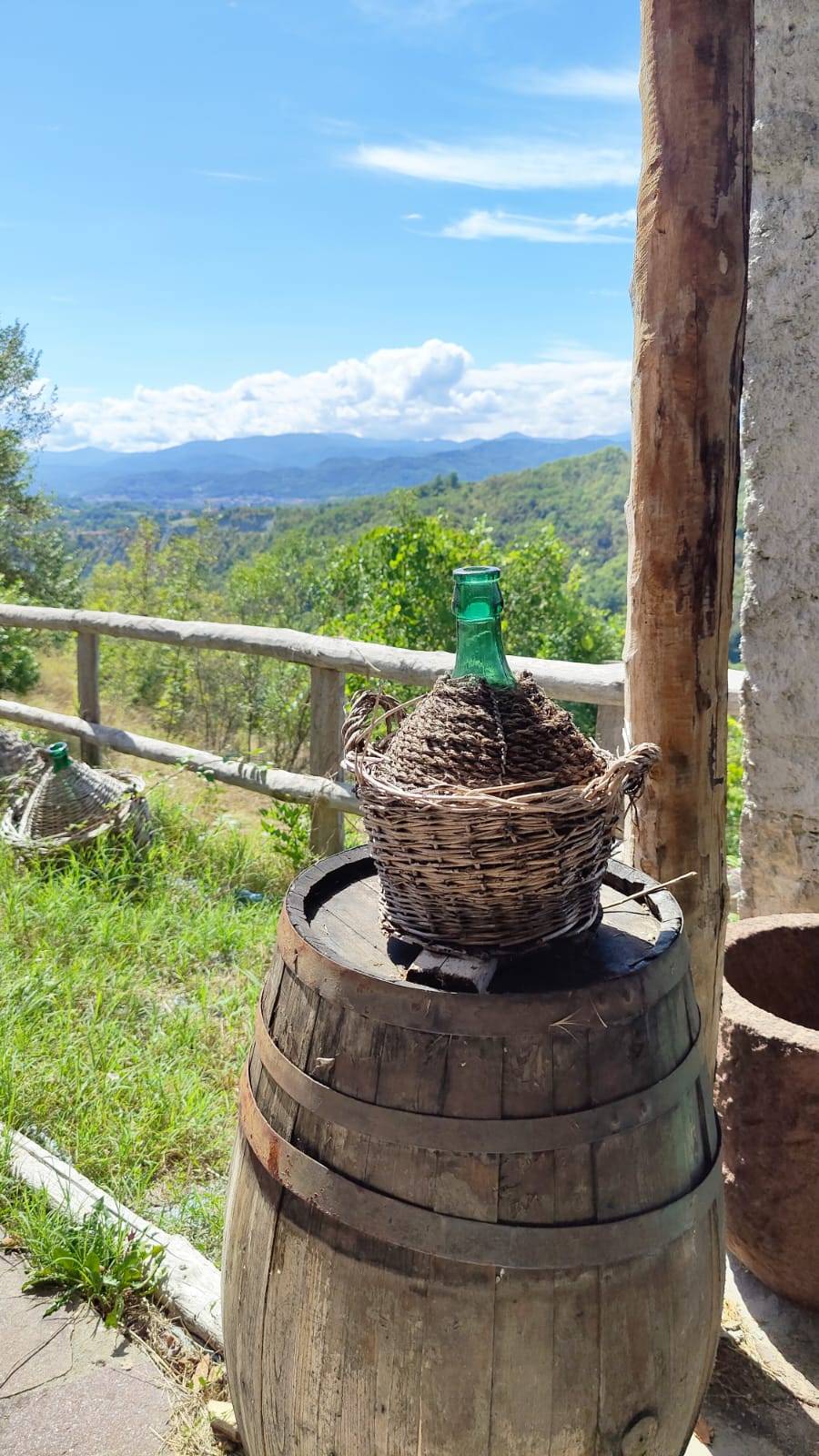 immagine annuncio 7 di 14