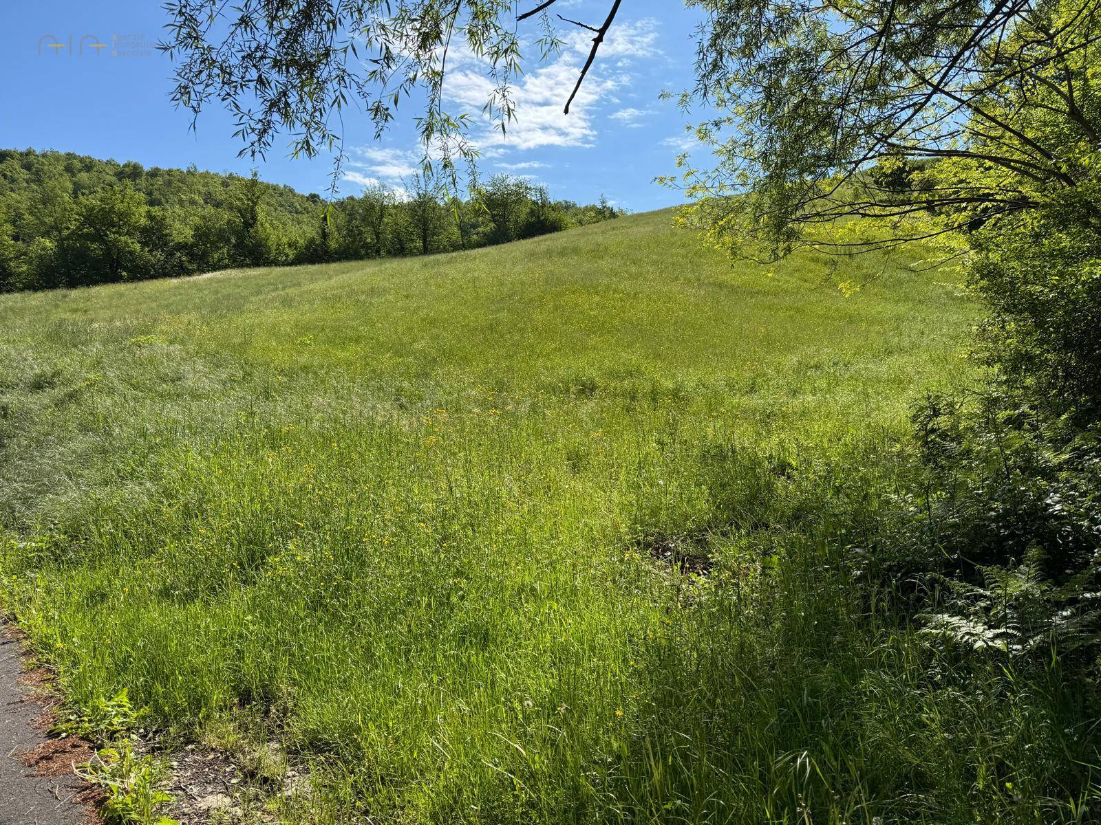 terreno agricolo in vendita a Montefortino in zona Cerretana