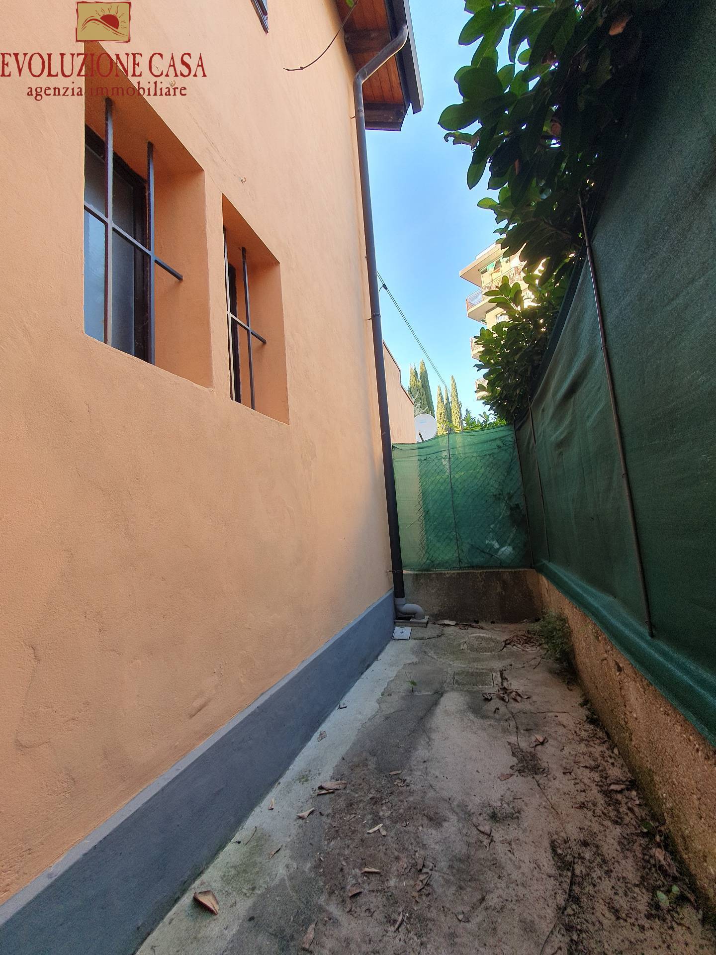 immagine annuncio 2 di 12