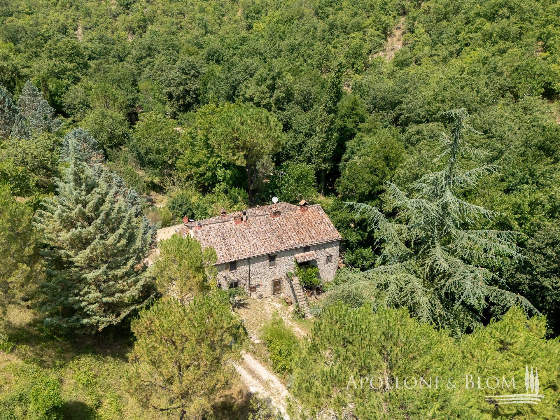 casa indipendente in vendita a Radda in Chianti